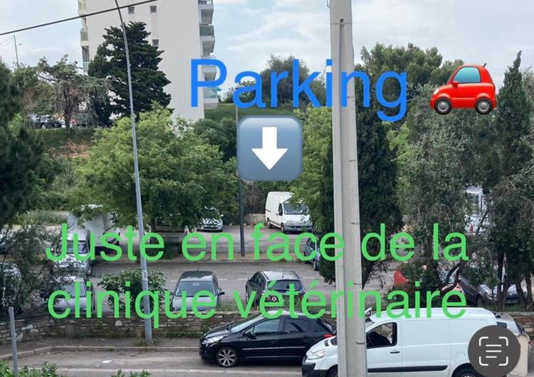 Location Chambre Avec Salle De Bain Et Partie Commune Sea View & Mountain View Renting 1 Of 3 Bedrooms With Shared Common Space 3 Bdrm Apt Not 1 Bdrm Plus Clime Ou Ac Bastia  Eksteriør billede